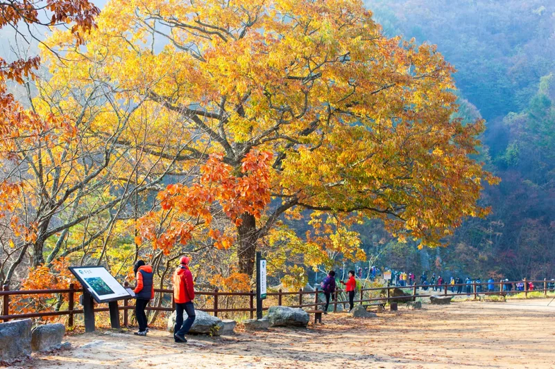 주산지