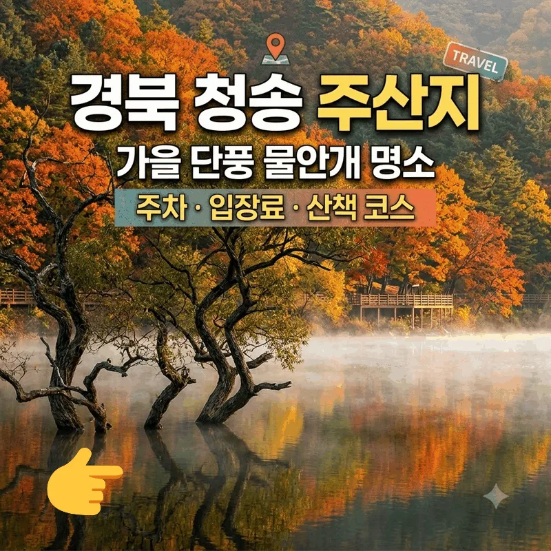 경북 청송 주산지 가을 단풍 물안개 명소 주차 입장료 산책 코스