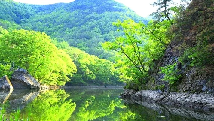 주산지 풍경 / 사진=게티이미지뱅크