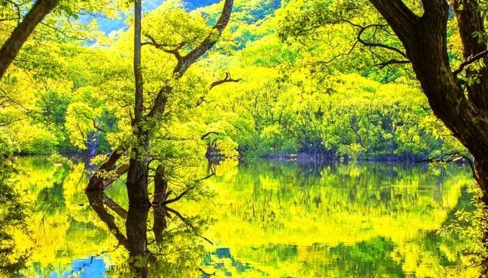 주산지 전경 / 사진=게티이미지뱅크