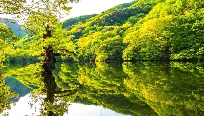 청송 주산지 / 사진=게티이미지뱅크