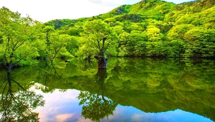 청송 주산지 경관 / 사진=게티이미지뱅크