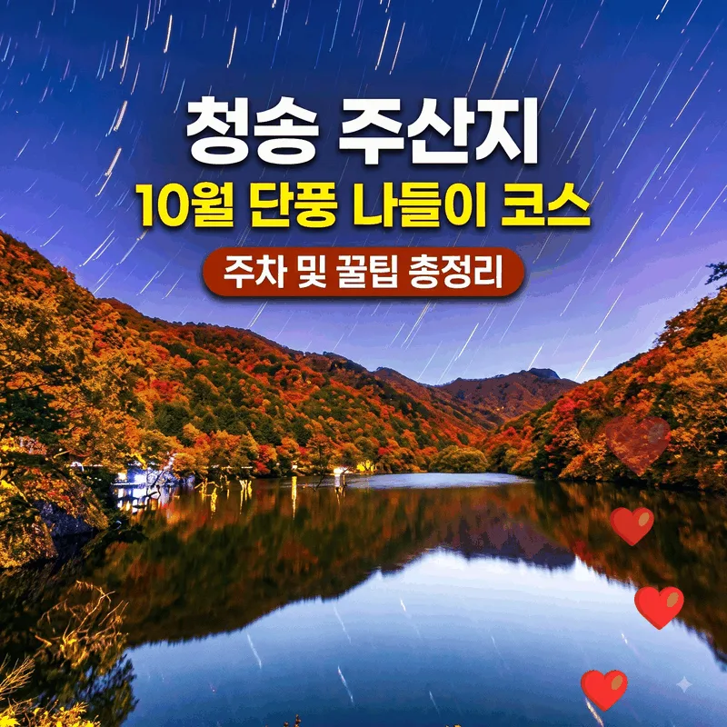 청송 주산지 10월 단풍 가을 나들이 코스 주차와 팁 총정리