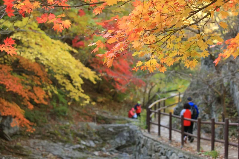 주왕산국립공원