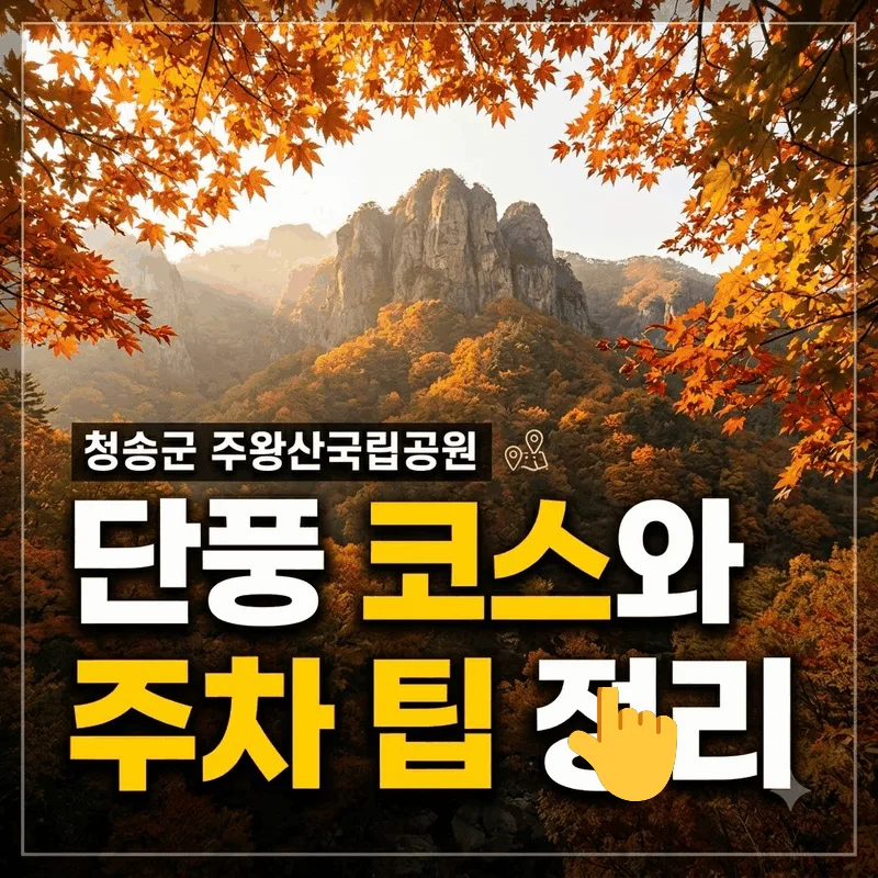청송군 주왕산국립공원 단풍 코스와 주차 팁 정리