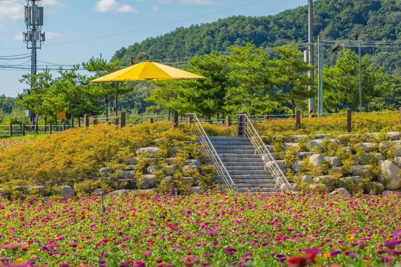 산소카페 청송정원