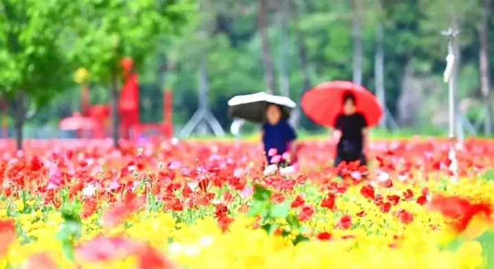 산소카페 청송정원 모습 / 사진=청송여행