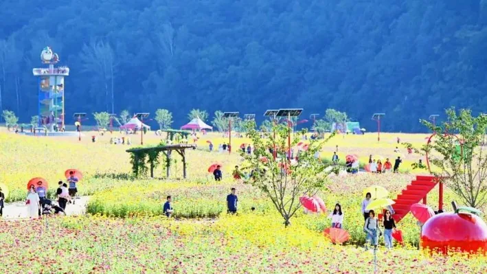 산소카페 청송정원 풍경 / 사진=청송여행