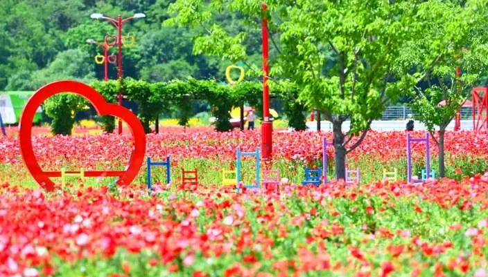 산소카페 청송정원 포토존 / 사진=청송여행