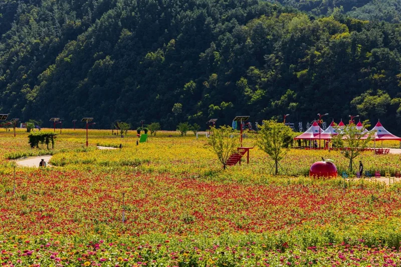 산소카페 청송정원