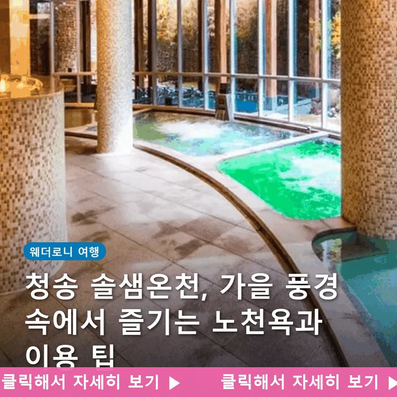 청송 솔샘온천, 가을 풍경 속에서 즐기는 노천욕과 이용 팁