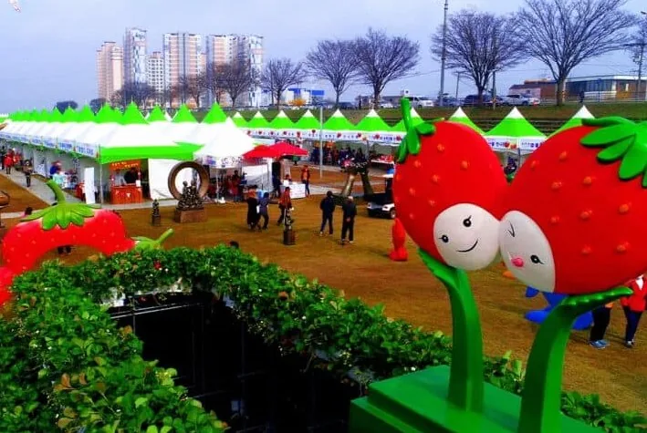 논산딸기축제 전경 / 사진=충남관광