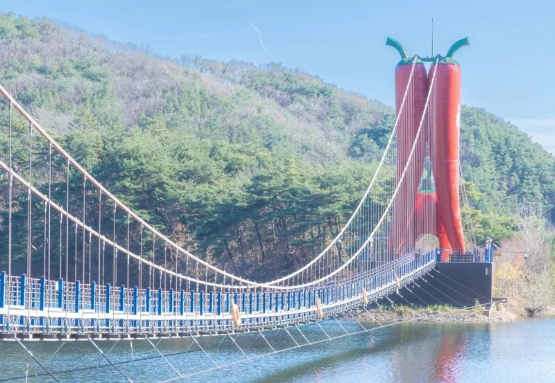 천장호 출렁다리 상세이미지11