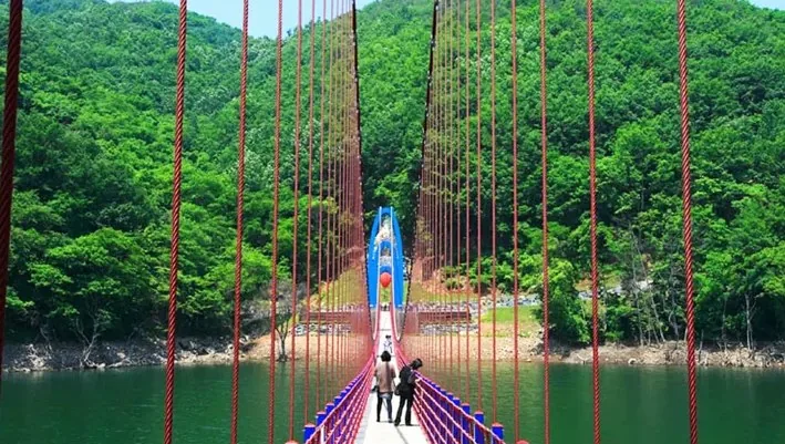 청양 천장호 출렁다리 / 사진=청양군 문화관광