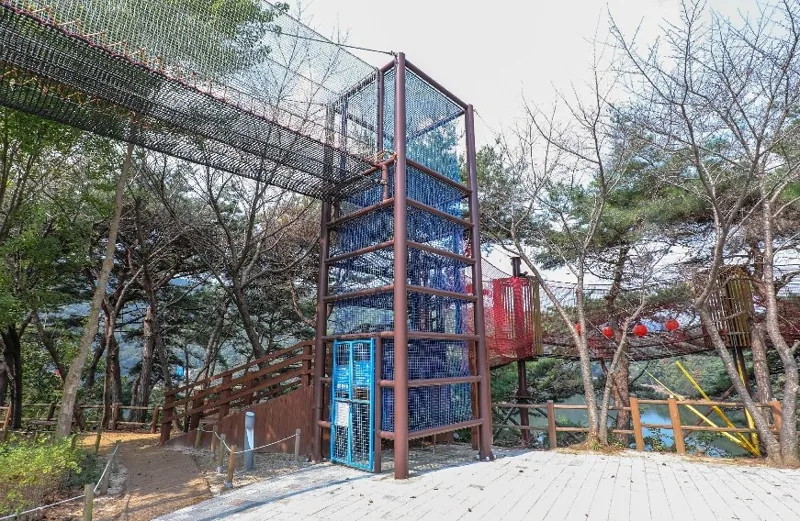 천장호 출렁다리 상세이미지4
