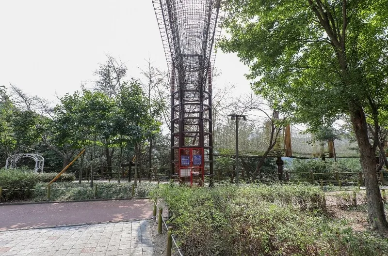 천장호 출렁다리 상세이미지6