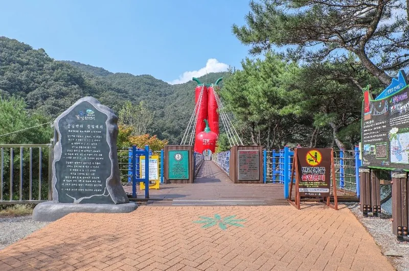 천장호 출렁다리 상세이미지7