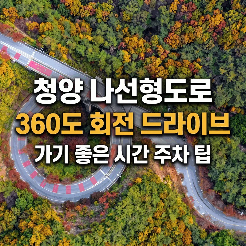 청양 나선형도로 360도 회전 드라이브 가기 좋은 시간 주차 팁