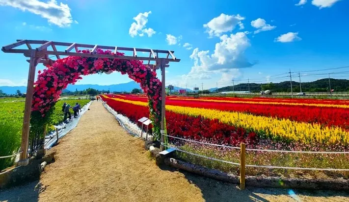 고석정 꽃밭 / 사진=철원 문화관광