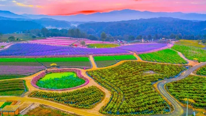 고석정 꽃밭 / 사진=철원 공식블로그