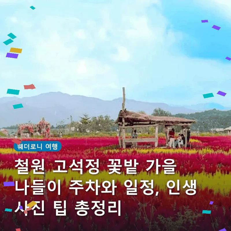 철원 고석정 꽃밭 가을 나들이 주차와 일정, 인생 사진 팁 총정리