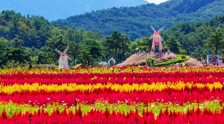 고석정 꽃밭 풍경 / 사진=한국관광콘텐츠랩