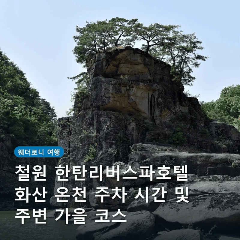 철원 한탄리버스파호텔 화산 온천 주차 시간 및 주변 가을 코스