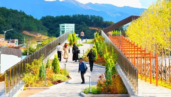 치악산 바람길숲 모습 / 사진=원주시