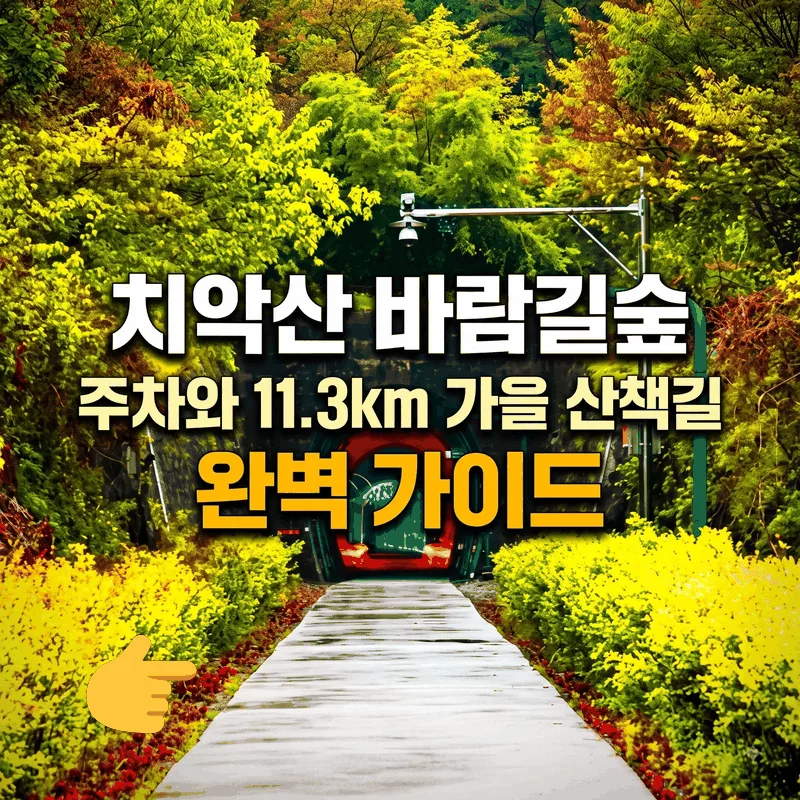 치악산 바람길숲 주차와 11.3km 가을 산책길 완벽 가이드