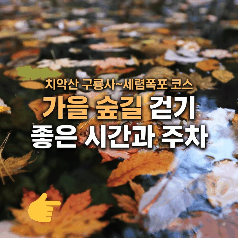 치악산 구룡사~세렴폭포 코스 가을 숲길 걷기 좋은 시간과 주차