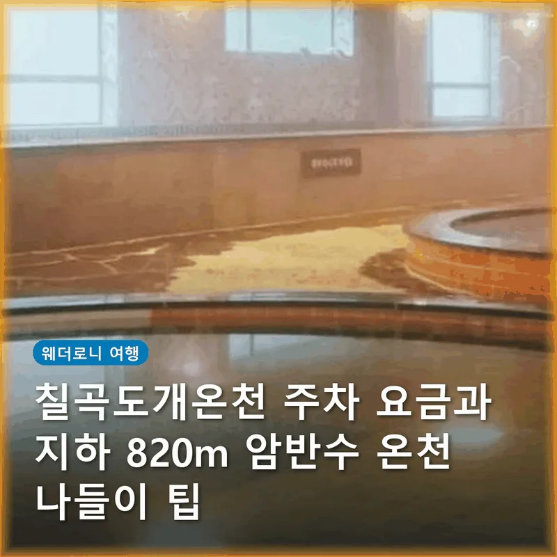 칠곡도개온천 주차 요금과 지하 820m 암반수 온천 나들이 팁