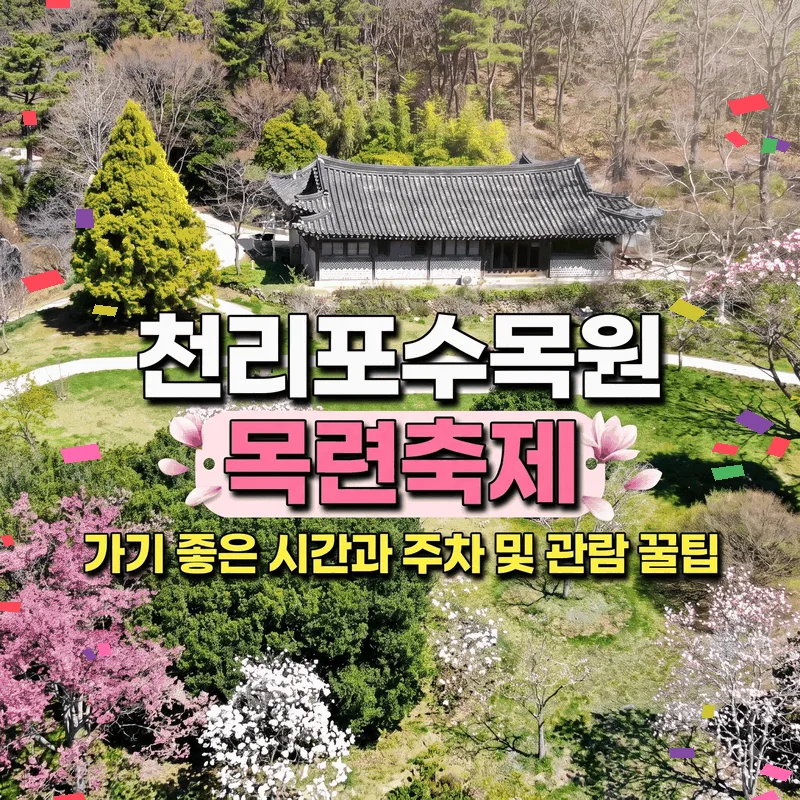 천리포수목원 목련축제 가기 좋은 시간과 주차 및 관람 꿀팁