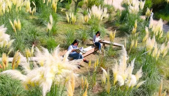 천리포수목원 / 사진=천리포수목원