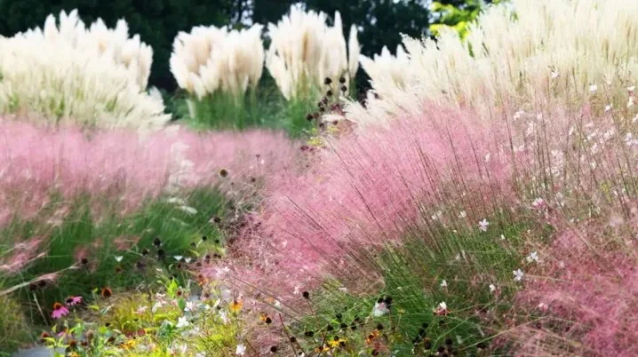 가을이 오고 있는 천리포수목원 / 사진=천리포수목원