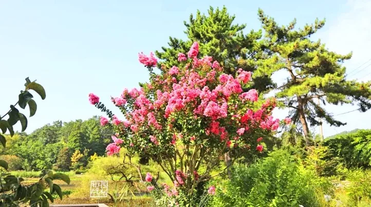 천리포수목원 모습 / 사진=천리포수목원