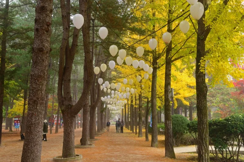 남이섬