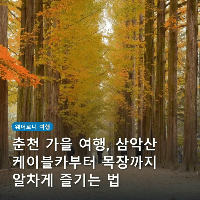 춘천 가을 여행, 삼악산 케이블카부터 목장까지 알차게 즐기는 법