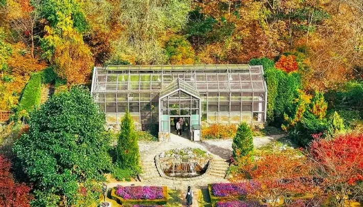 춘천 제이드가든 / 사진=제이드가든 SNS