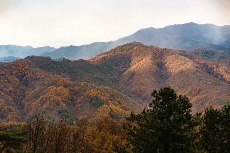 춘천 삼악산 호수케이블카