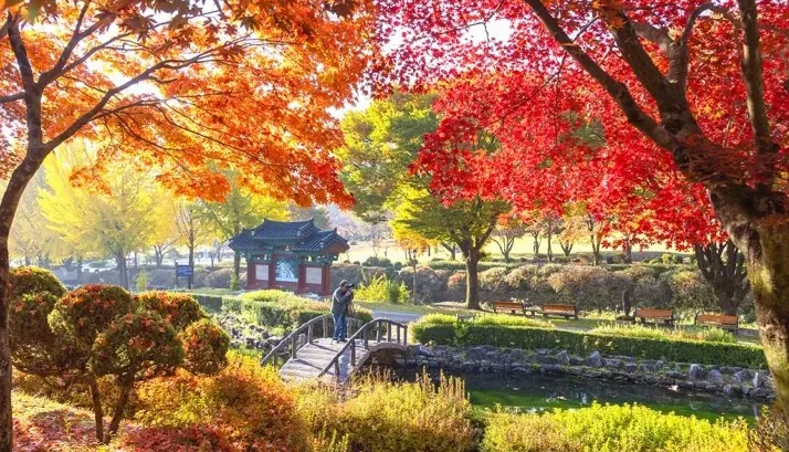 배론성지 단풍 / 사진=제천시 공식 블로그