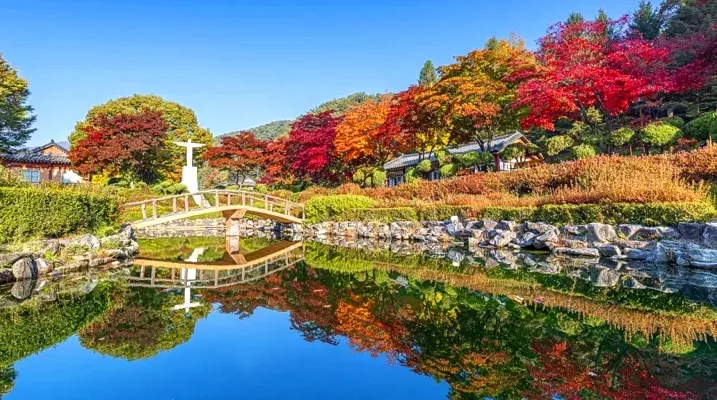 제천 배론성지 / 사진=제천시 공식 블로그