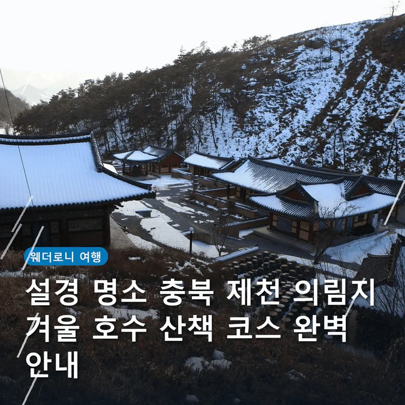 설경 명소 충북 제천 의림지 겨울 호수 산책 코스 완벽 안내