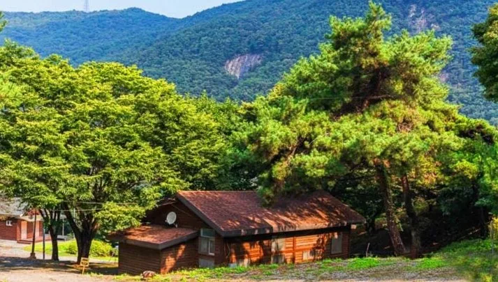 봉황자연휴양림 풍경 / 사진=한국관광콘텐츠랩