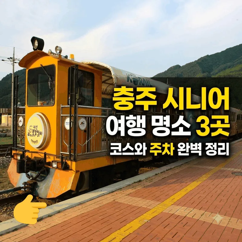 충주 시니어 여행 명소 3곳 코스와 주차 완벽 정리