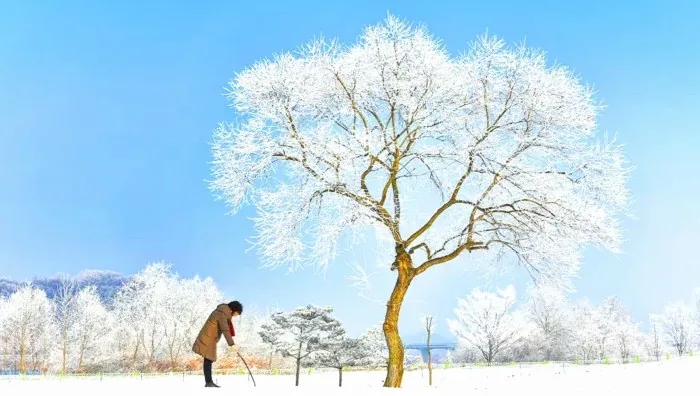 남한강 겨울 모습 / 사진=게티이미지뱅크