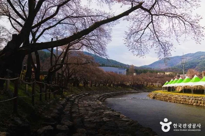 수안보온천 관광특구