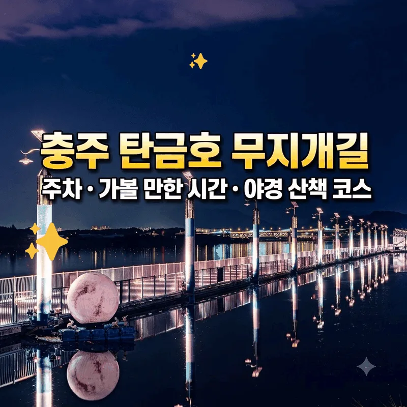 충주 탄금호 무지개길 주차와 가기 좋은 시간 야경 산책 코스