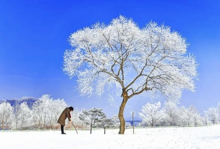 남한강 순백의 설경 / 사진=게티이미지뱅크