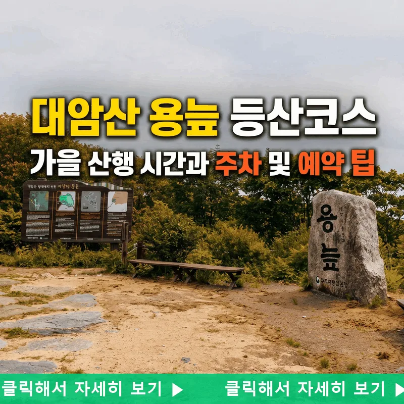 대암산 용늪 등산 코스 가을 산행 시간과 주차 및 예약 팁