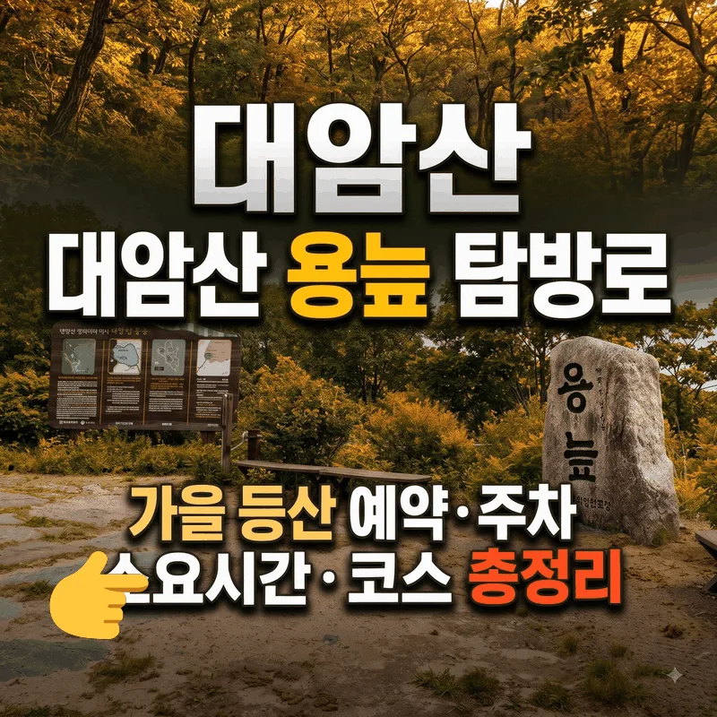 대암산 용늪 탐방로 가을 등산 예약 주차 소요 시간 코스 총정리